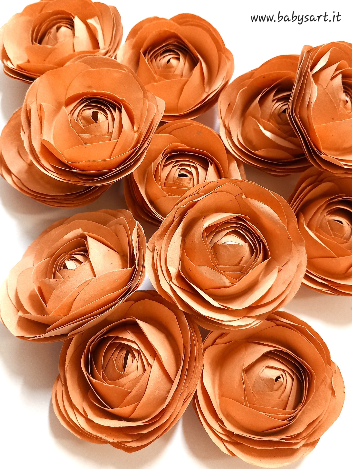 Cornice Rose di Carta