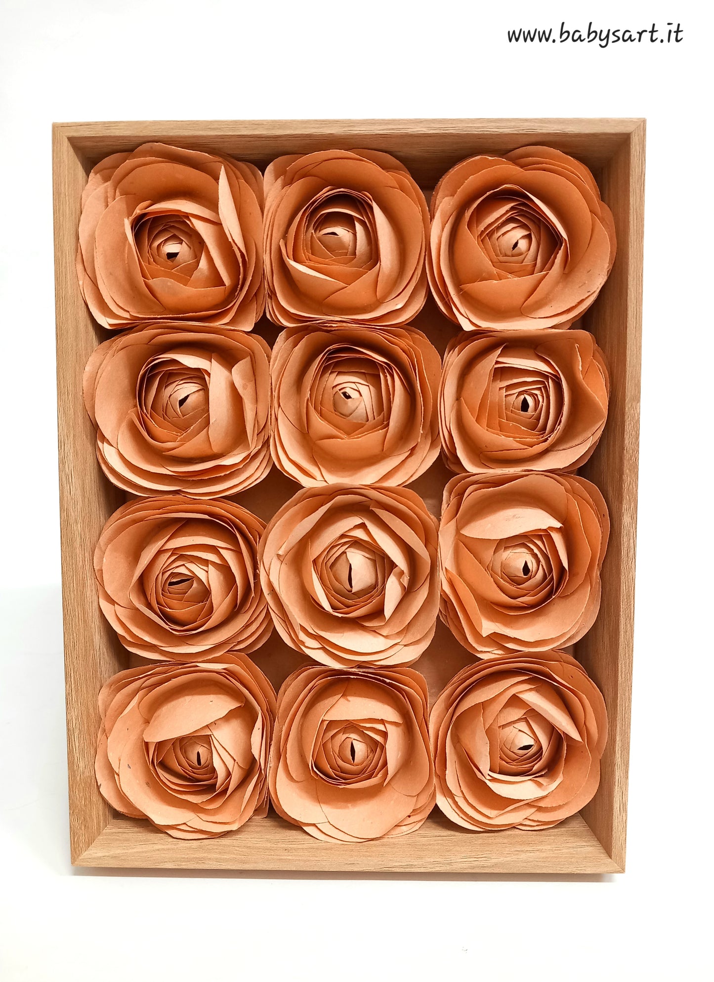 Cornice Rose di Carta