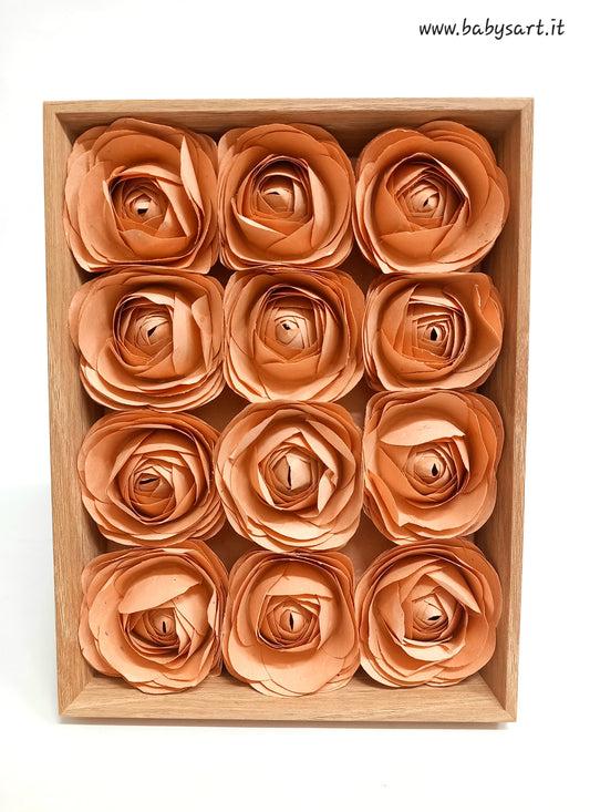 Cornice Rose di Carta