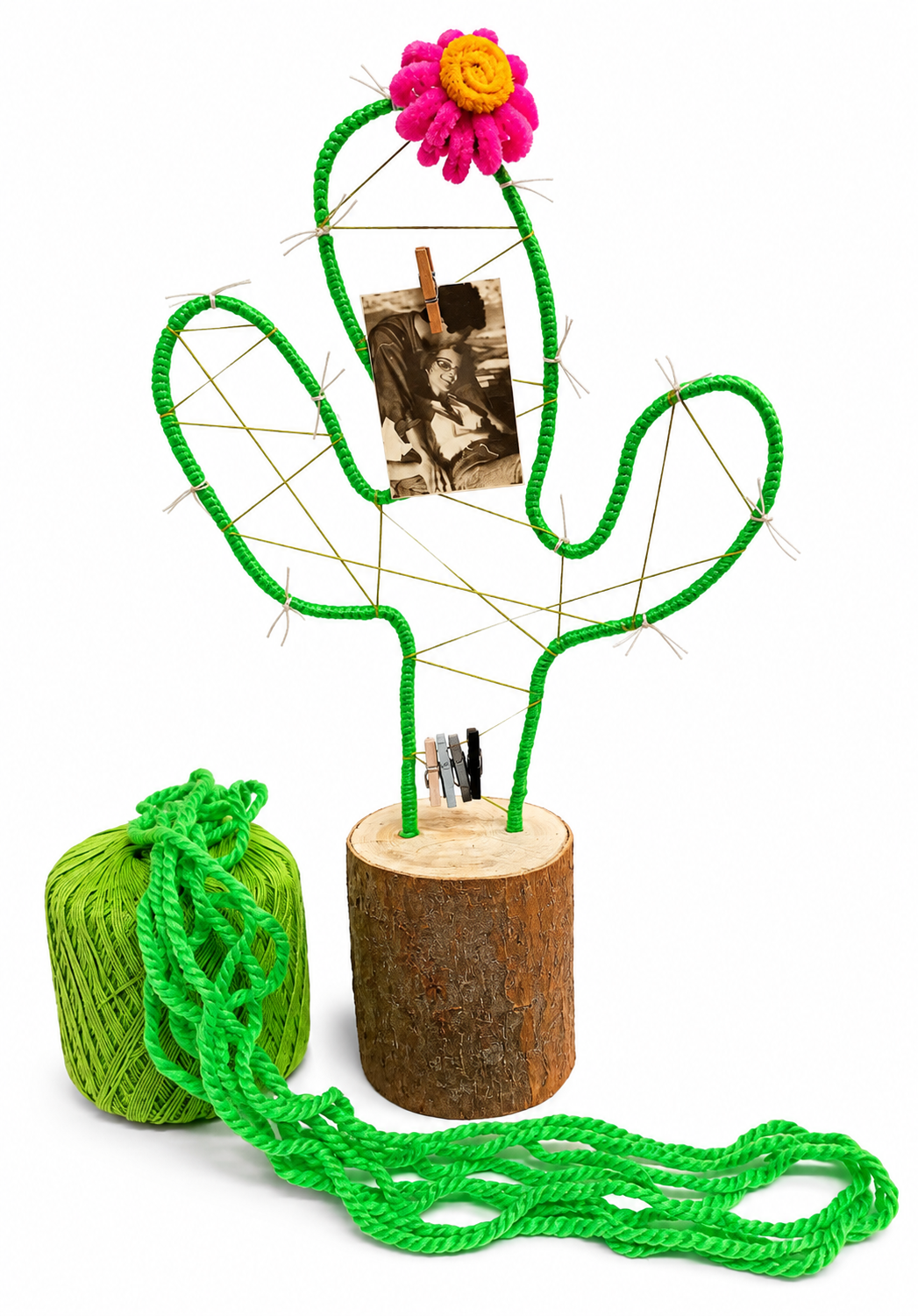 Ceppo Cactus portafoto da scrivania