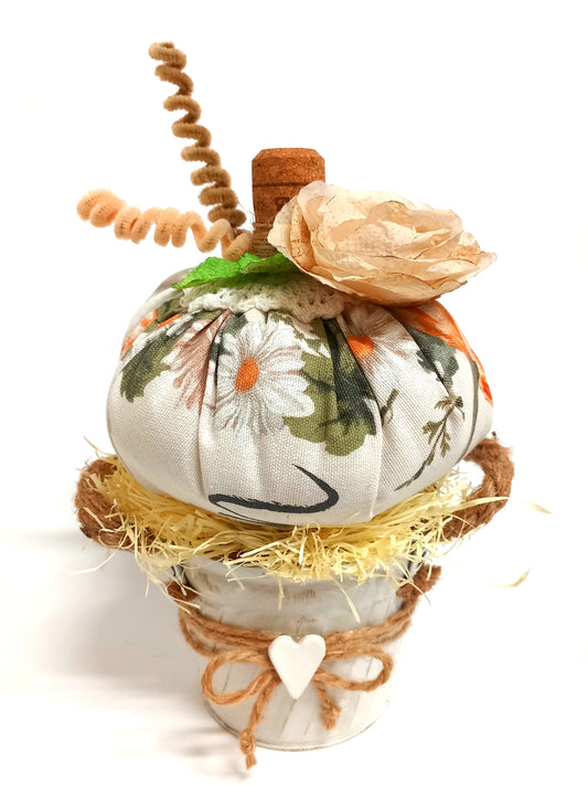 Zucca Shabby Incontro d'Autunno