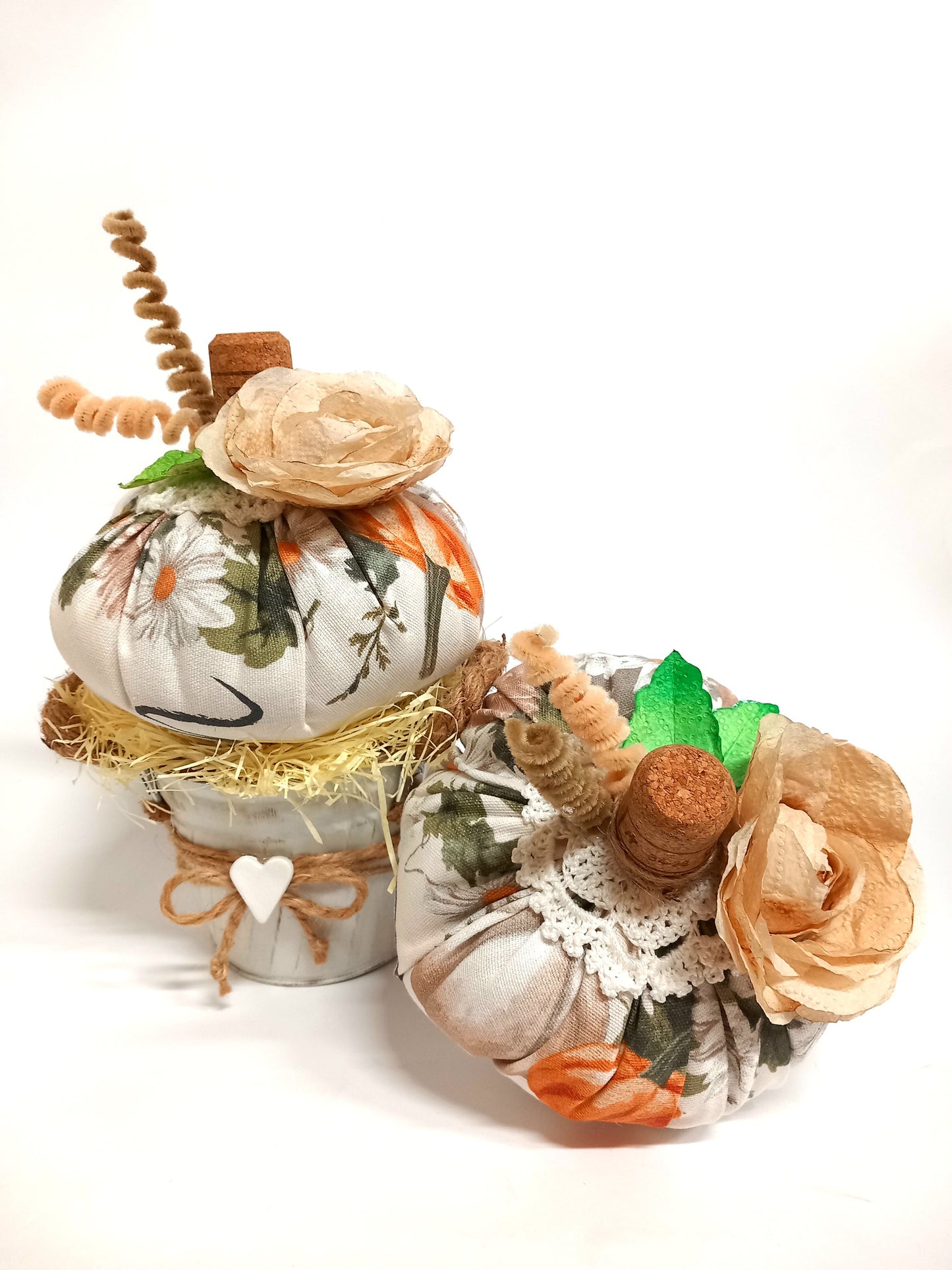 Zucca Shabby Incontro d'Autunno